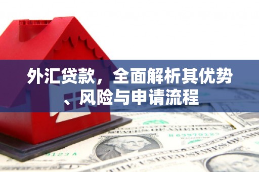 聂拉木外汇贷款，全面解析其优势、风险与申请流程