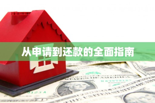 聂拉木从申请到还款的全面指南