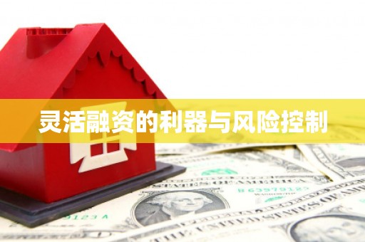 聂拉木灵活融资的利器与风险控制