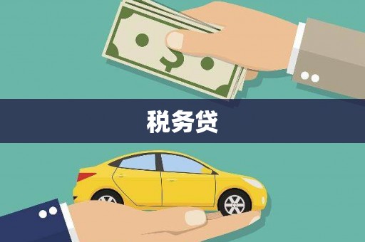 聂拉木税务贷