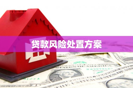 聂拉木贷款风险处置方案