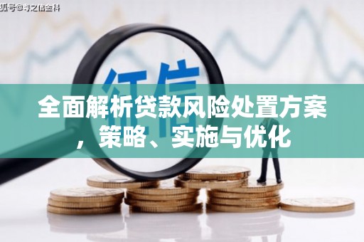 聂拉木全面解析贷款风险处置方案，策略、实施与优化