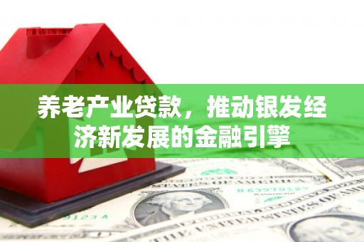 聂拉木养老产业贷款，推动银发经济新发展的金融引擎