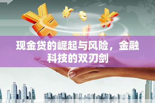 聂拉木现金贷的崛起与风险，金融科技的双刃剑