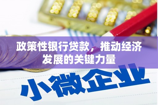 聂拉木政策性银行贷款，推动经济发展的关键力量