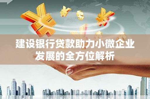 聂拉木建设银行贷款助力小微企业发展的全方位解析