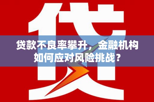 聂拉木贷款不良率攀升，金融机构如何应对风险挑战？