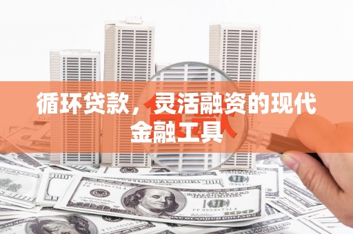 聂拉木循环贷款，灵活融资的现代金融工具