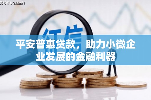 聂拉木平安普惠贷款，助力小微企业发展的金融利器