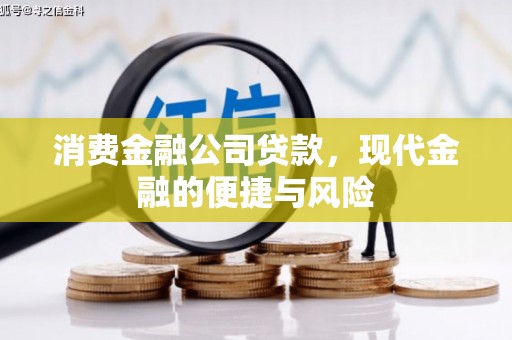 聂拉木消费金融公司贷款，现代金融的便捷与风险