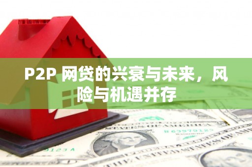 聂拉木P2P 网贷的兴衰与未来，风险与机遇并存