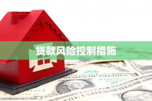 聂拉木贷款风险控制措施