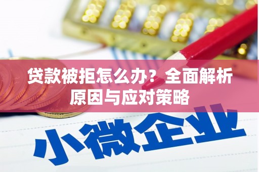 聂拉木贷款被拒怎么办？全面解析原因与应对策略